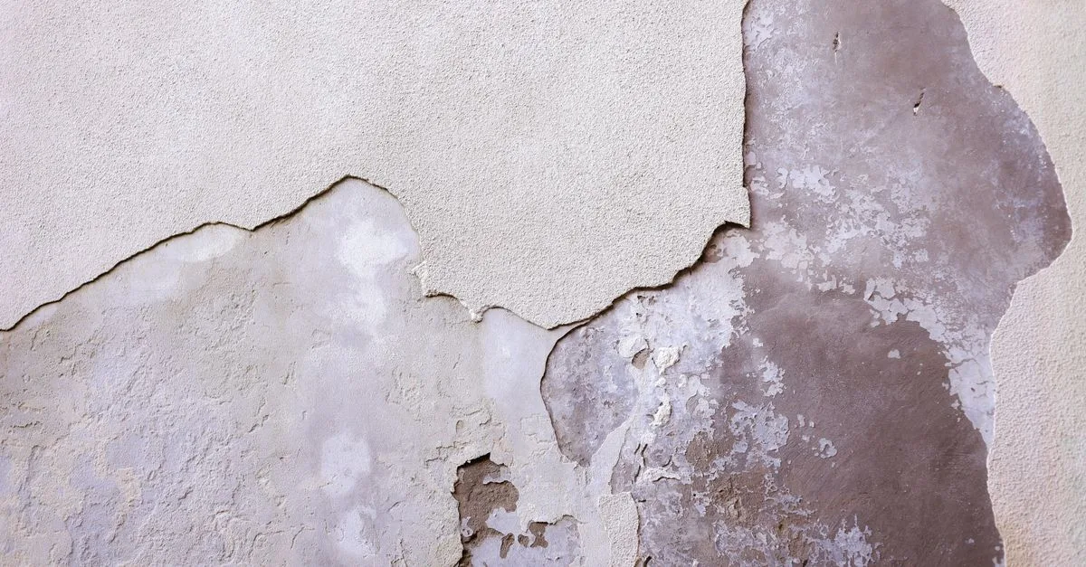 expert en cloison sèche indépendant offrant des services de qualité pour tous vos travaux de rénovation et construction.