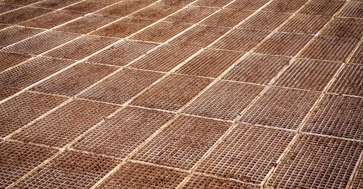 découvrez nos plaques de plâtre renforcées, offrant une résistance et une durabilité optimales pour vos projets de construction et de rénovation.